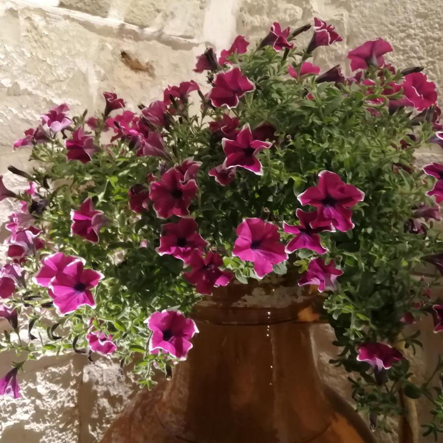 Annas Trulli Paradise-Alberobello Μαρτίνα Φράνκα Εξωτερικό φωτογραφία
